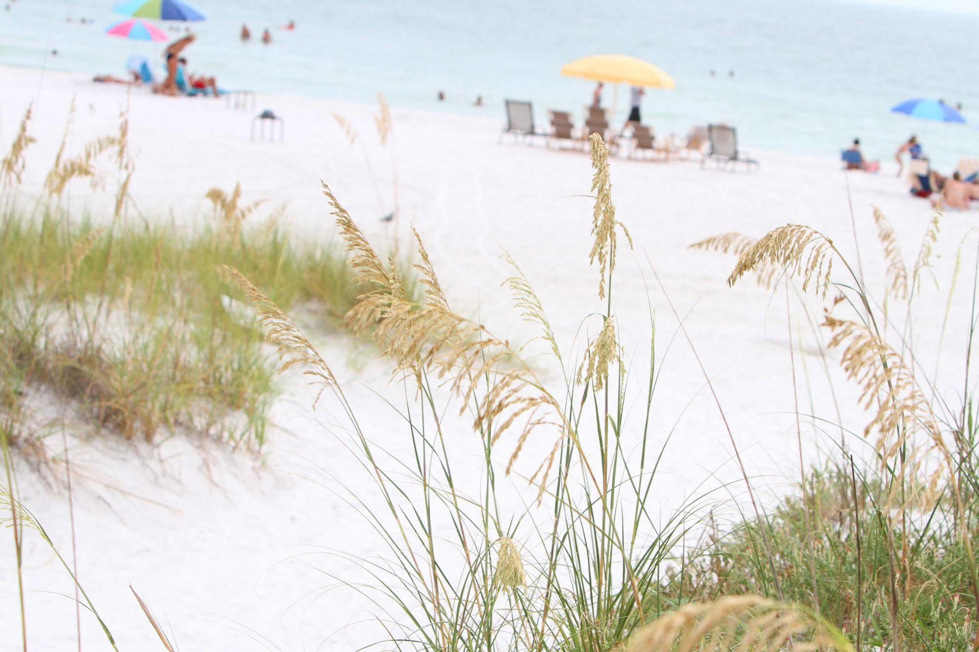 Beach Club At Siesta Key By Rva Εξωτερικό φωτογραφία